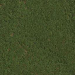 Satellite imagery of East Ridge, US