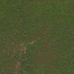 Satellite imagery of Falls Ridge, US