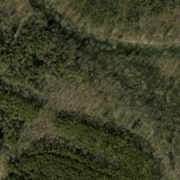Satellite imagery of McShain Quarry, US