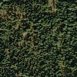 Satellite imagery of Cheese Camp Ridge, US