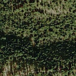 Satellite imagery of Cheese Camp Ridge, US