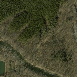Satellite imagery of McShain Quarry, US