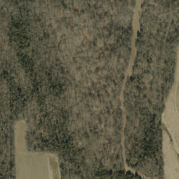 Satellite imagery of Devils Backbone, US