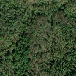 Satellite imagery of Locust Grove Ridge, US