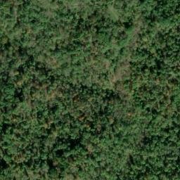 Satellite imagery of Locust Grove Ridge, US