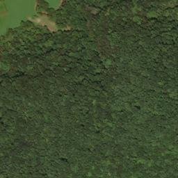 Satellite imagery of F 268 — NGS HX0164 — Lewis County, US, US