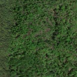 Satellite imagery of C 283 — NGS HX0133 — Lewis County, US, US