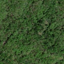 Satellite imagery of C 283 — NGS HX0133 — Lewis County, US, US