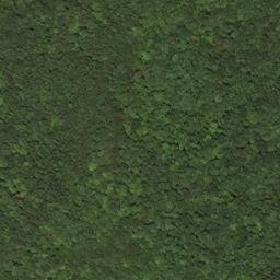 Satellite imagery of F 268 — NGS HX0164 — Lewis County, US, US
