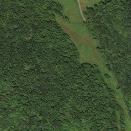 Satellite imagery of 1088 — NGS HX0141 — Lewis County, US, US