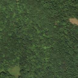 Satellite imagery of E 268 — NGS HX0136 — Lewis County, US, US