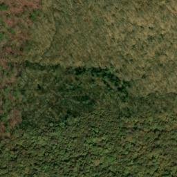 Satellite imagery of Shavers Mountain, US