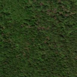 Satellite imagery of Dickey Ridge, US