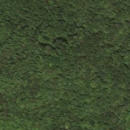 Satellite imagery of C 283 — NGS HX0133 — Lewis County, US, US