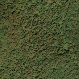 Satellite imagery of Shavers Mountain, US