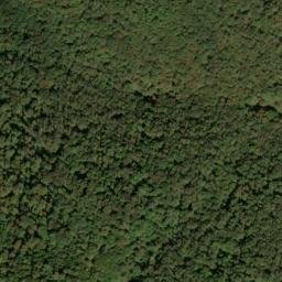 Satellite imagery of McCray Ridge, US
