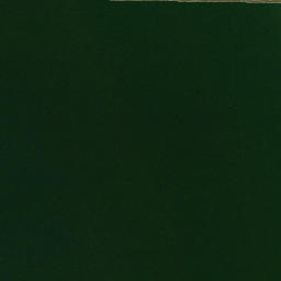 Satellite imagery of Hains Point, US