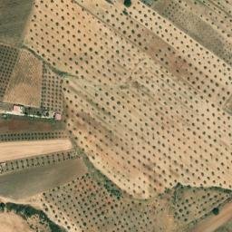 Satellite imagery of survey_point, PT