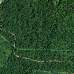 Satellite imagery of Buck Ridge, US