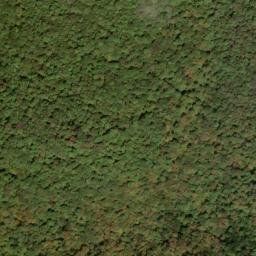 Satellite imagery of Shavers Mountain, US