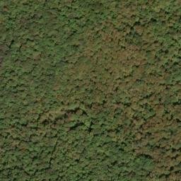 Satellite imagery of Shavers Mountain, US