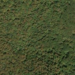 Satellite imagery of Shavers Mountain, US