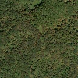 Satellite imagery of Panther Ridge, US