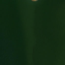 Satellite imagery of Hains Point, US