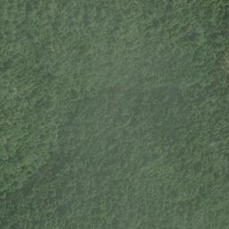 Satellite imagery of Fleming Ridge, US