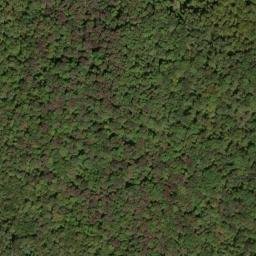Satellite imagery of Panther Ridge, US