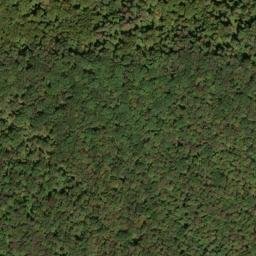 Satellite imagery of Panther Ridge, US