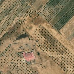 Satellite imagery of survey_point, PT