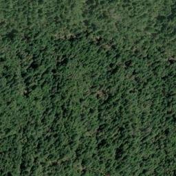 Satellite imagery of Fisher Ridge, US
