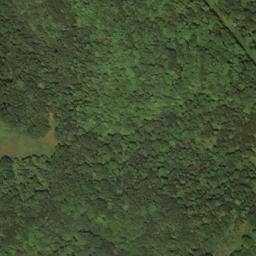 Satellite imagery of H 268 — NGS HX0166 — Lewis County, US, US