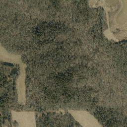 Satellite imagery of Scotts Ridge, US
