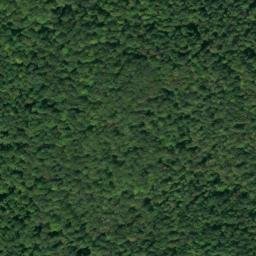 Satellite imagery of Coleman Ridge, US