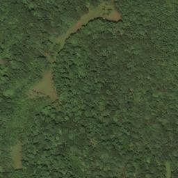 Satellite imagery of W 267 — NGS HX0156 — Lewis County, US, US