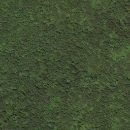 Satellite imagery of W 267 — NGS HX0156 — Lewis County, US, US