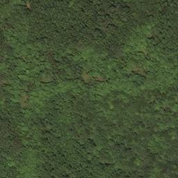 Satellite imagery of X 267 — NGS HX0157 — Lewis County, US, US