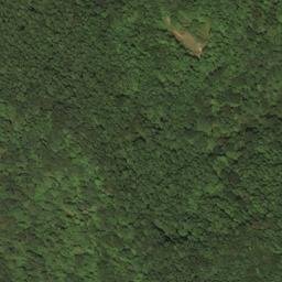 Satellite imagery of X 267 — NGS HX0157 — Lewis County, US, US