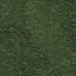 Satellite imagery of X 267 — NGS HX0157 — Lewis County, US, US