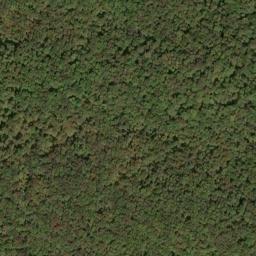 Satellite imagery of Beaverdam Ridge, US