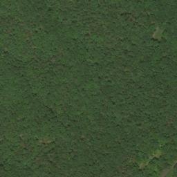 Satellite imagery of Supin Lick Ridge, US