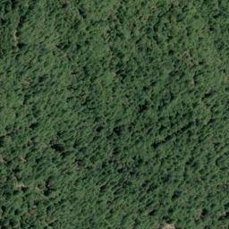 Satellite imagery of Fisher Ridge, US