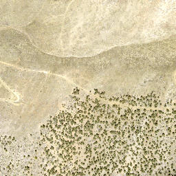 Satellite imagery of Carson Valley Tungsten Mine, US
