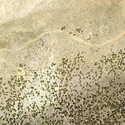 Satellite imagery of Carson Valley Tungsten Mine, US