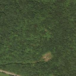 Satellite imagery of W 267 — NGS HX0156 — Lewis County, US, US