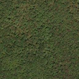 Satellite imagery of Beaverdam Ridge, US