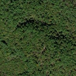 Satellite imagery of Timber Ridge, US