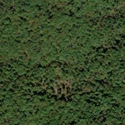 Satellite imagery of Timber Ridge, US